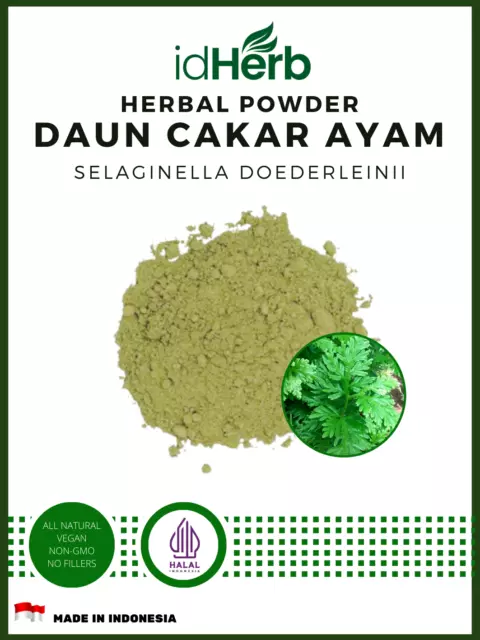 [idHerb] CAPSULE Selaginella Doederleinii daun cakar ayam herbal organic