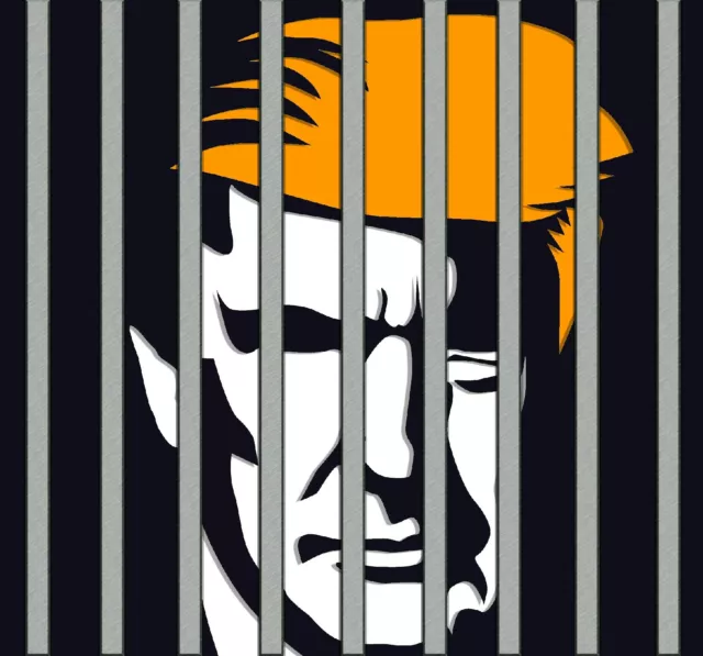 TRUMP IN JAIL! Donald J Trump 2024 Car MAGNET! Show Your Pride! Indict Today!