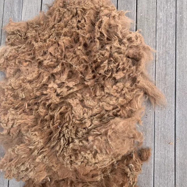 Alpaca Fleece Saddle Only. Solid Brown. Freckle. Approx 18cm Long.