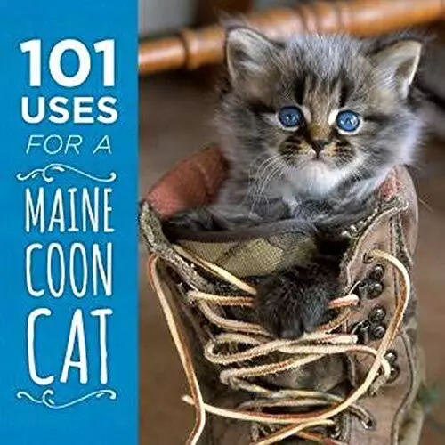 101 USES FOR a Maine Coon Cat 6.16 PicClick