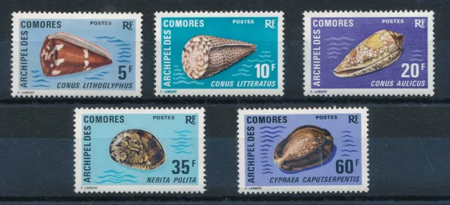 [BIN14648] Cameroon 1971 Shells good set of stamps very fine MNH