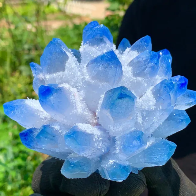 1.58LB New Find BLUE Phantom Quartz Crystal Cluster Mineral Specimen Healing 10