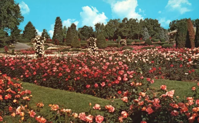 Postcard PA Hershey Rose Gardens & Arboretum Unposted Chrome Vintage PC G5588