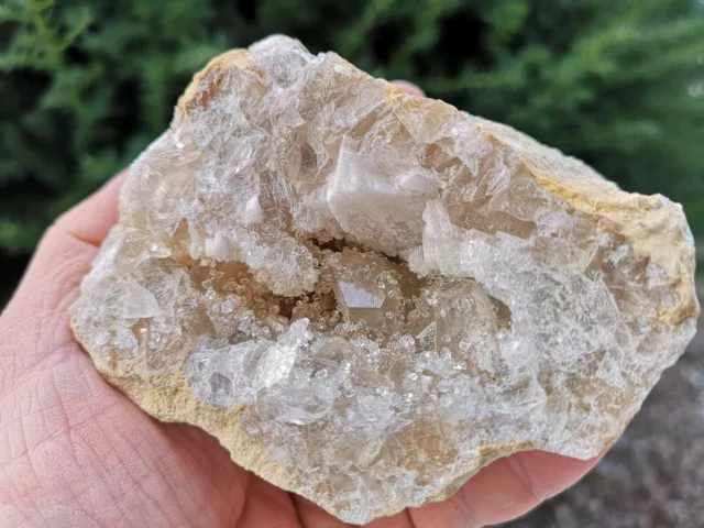 Coelestin - Quarz - Druse Geode - hochglänzend - Nr.8 - Tunesien