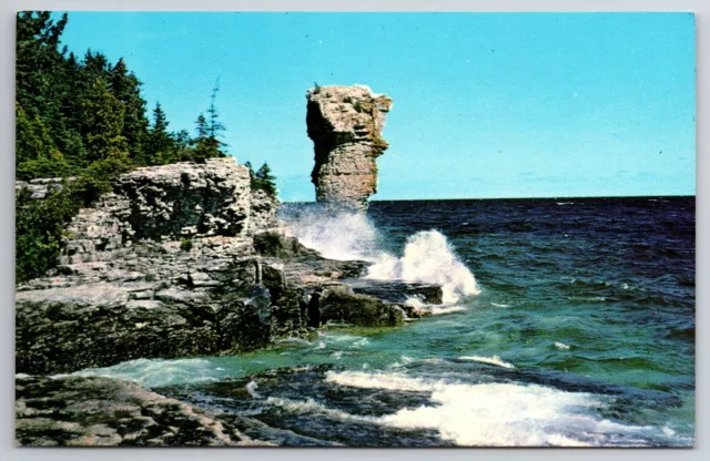 Vintage Canada Postcard Flower Pot Georgian Bay Island Park Tobermory Ontario