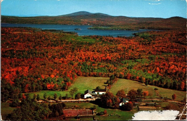 Aerial View Dexters Resort Lake Sunapee New Hampshire NH Postcard Unused UNP VTG