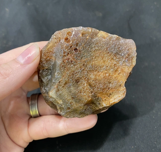 Rare Rough Botswana Agate whole nodule “THE LITTLE LUMPER” 5.3 Ounces B1 7