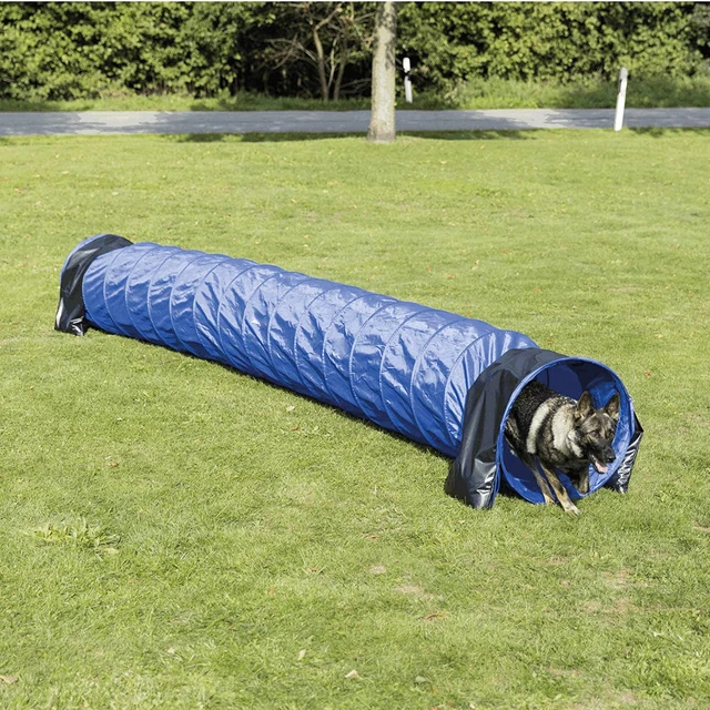 Túnel básico de agilidad de actividad para perro Trixie, ¿60 cm? 5 m, azul