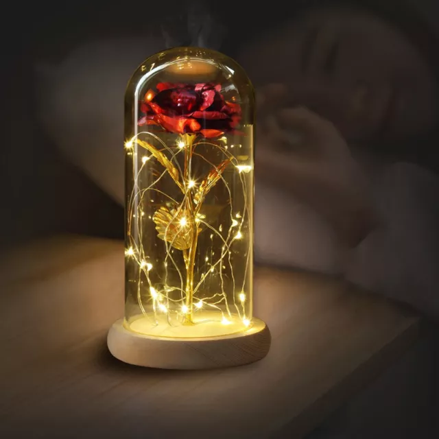 WR Eternal Rose Dipped in 24k Gold Glass Lamp Dome LED Light Gift Beauty & Beast