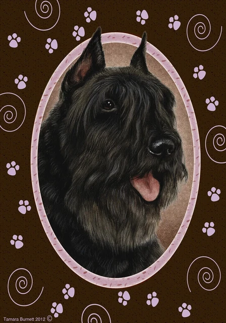 Paws Garden Flag - Black Bouvier des Flandres 170331