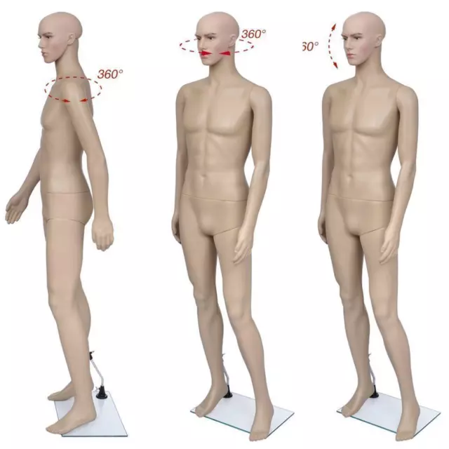 73 Male Mannequin Realistic Full Body Mannequin with Base for Clothes  Display
