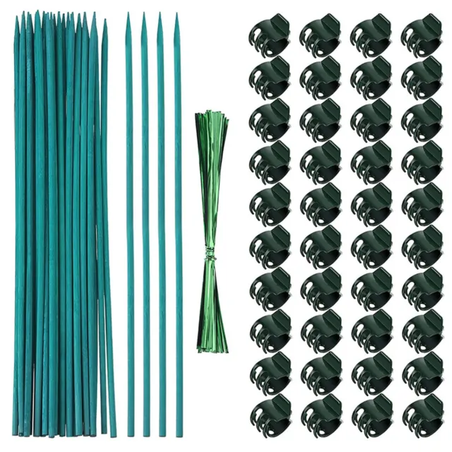 Pack de 40 clips d'orchid��e pratiques pour une croissance saine des tiges