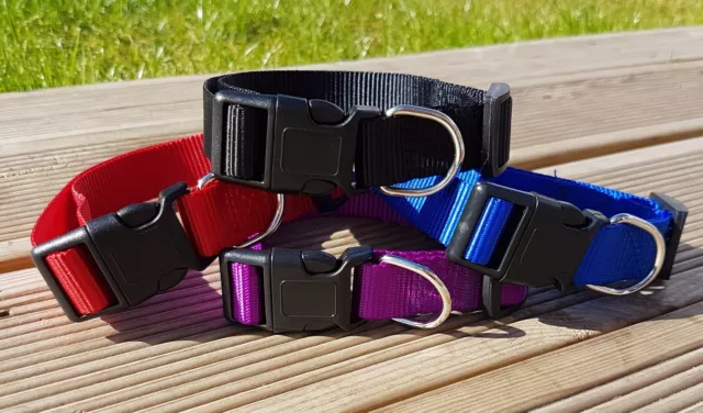 Dog Collar Nylon Puppy XS Small Medium Tough Strong Clip Black Blue Red Purple