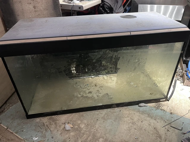 Fish tank tropical tank salt water