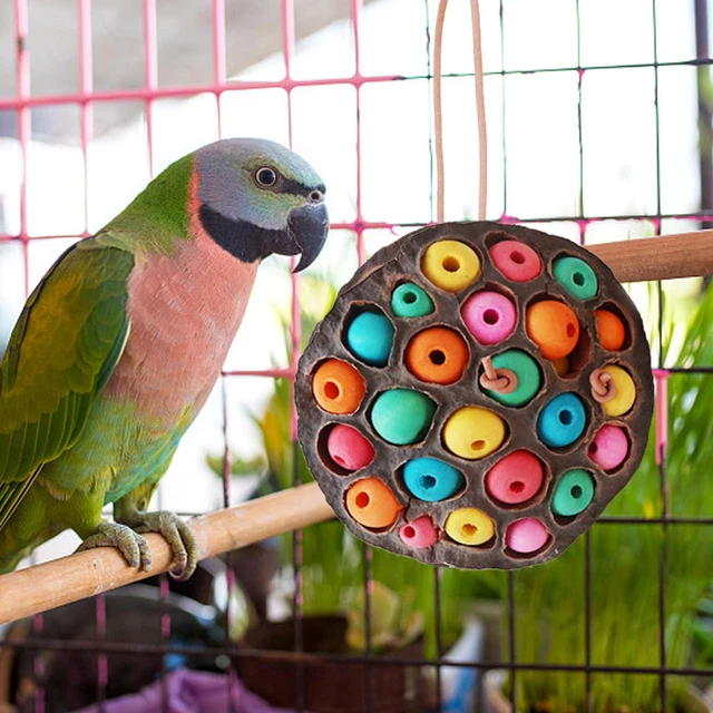 Natural Parrot Chew Toys Lotus Pod-shaped Parrot Biting Toys Parakeet Chew Toys