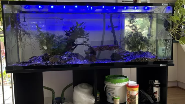 Fish tank complete package: tank, stand, filter, light, gravel, rock, heater etc