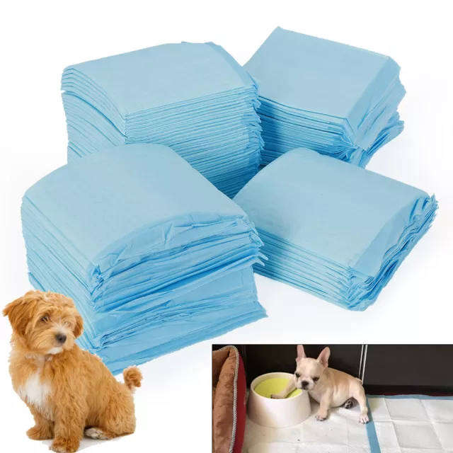 100 Piezas 33cm*45cm Pet Pipi Training Estera 100 Piezas Cachorro Inodoro Cachorros Almohadilla NUEVA