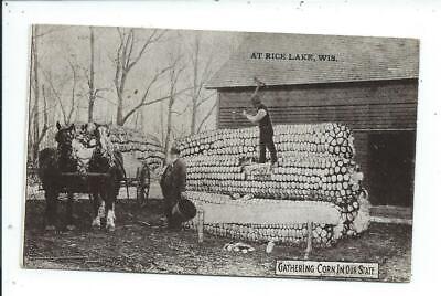 Post Card Postcard Exaggeration Horse Drawn Corn Men Rice Lake Wisconsin Wis Wi