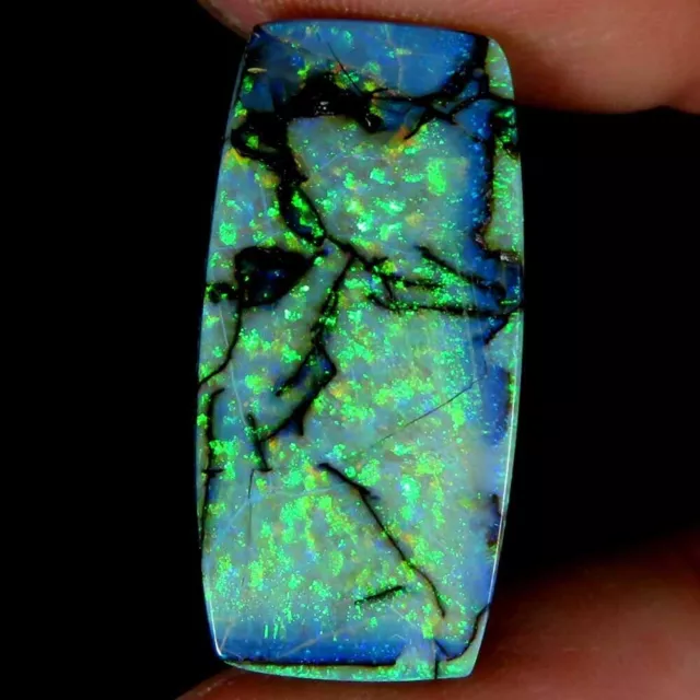 6.55Cts.Natural Designer Monarch Sterling Opal Cushion Cab 11x23x3mm Gesmtone