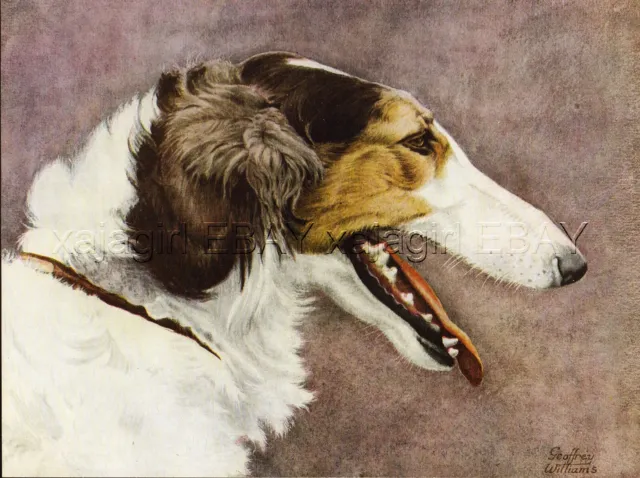 DOG Borzoi Russian Wolfhound, 1930s Color Linen Print by Geoffrey Williams