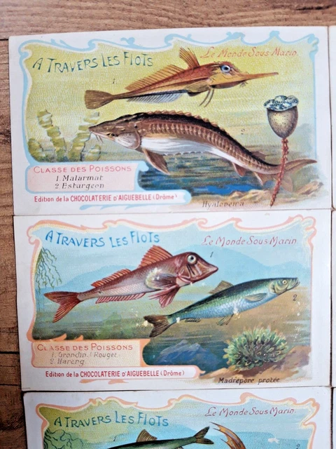 NO ALBUM PANINI SUR LA PISTE DES INDIENS CHROMO COOP SIOUX