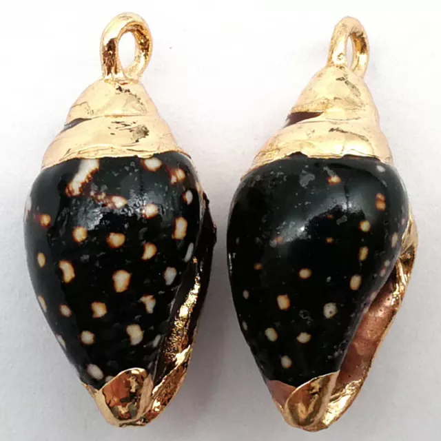 10Pcs 20x10x9mm Natural Gold Plated Black Spiral Seashell Conch Pendant A-43BK
