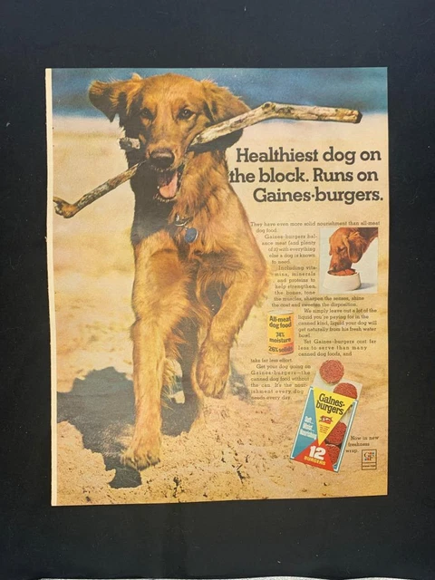 Magazine Ad* - 1967 - Gaines Burgers Dog Food - Golden Retriever