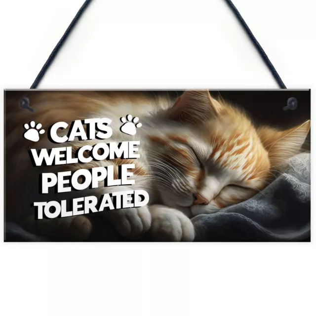 Funny Cat Gifts For Crazy Cat Lady Cat Lover Gifts Hanging Wall Sign Pet Lover