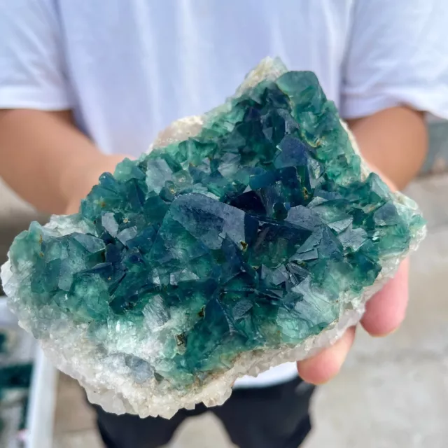 2.4lb NATURAL Green Cube FLUORITE Quartz Crystal Cluster Mineral Specimen