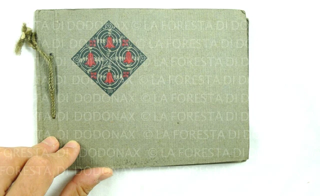 Antico Album Per Fotografie Max 6 Foto Di 10 Cm 1910 Vintage Liberty