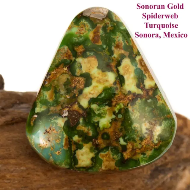 SONORAN GOLD Turquoise Cabochon Cab Natural 20.24mm Triangle Ring Not Royston