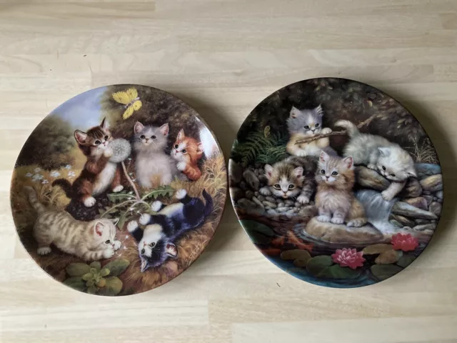 Kitten Plates, “Katzenkinder auf Entdeckungsreise”