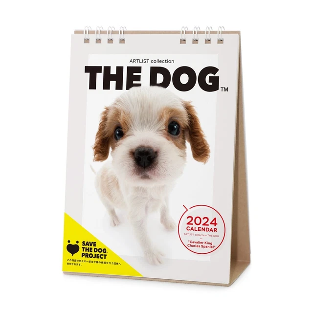 THE DOG 2024 Calendar Desktop size cavalier king charles spaniel