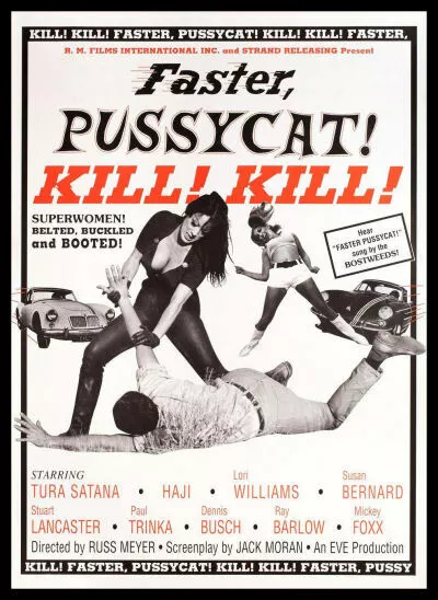 Faster Pussycat Kill Kill Movie Poster Canvas Print Fridge Magnet 6x8 Large