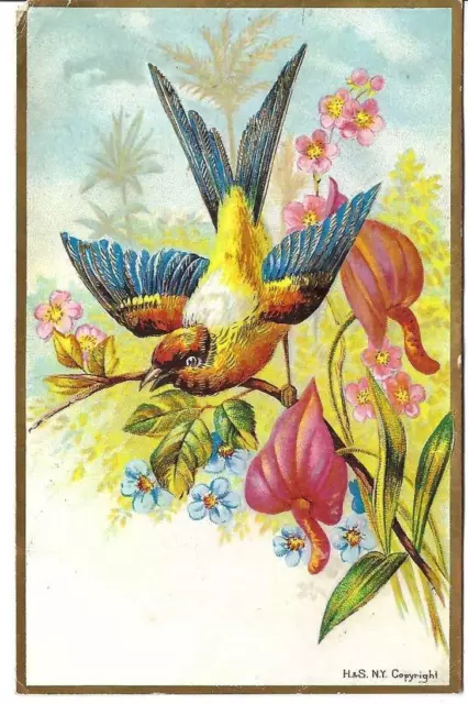 AM-250 IL Chicago Unrivaled Baking Powder Flying Blue Bird Victorian Trade Card