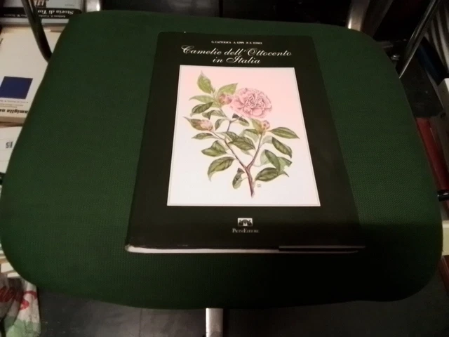 CAMELIE DELL'OTTOCENTO IN ITALIA AA.VV. PACINI EDITORE 1992, 4g24