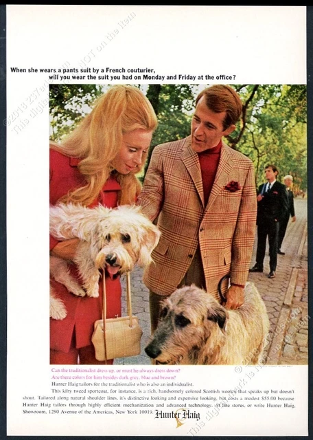 1967 Dandie Dinmont Terrier Scottish Deerhound photo Hunter Haig jacket print ad