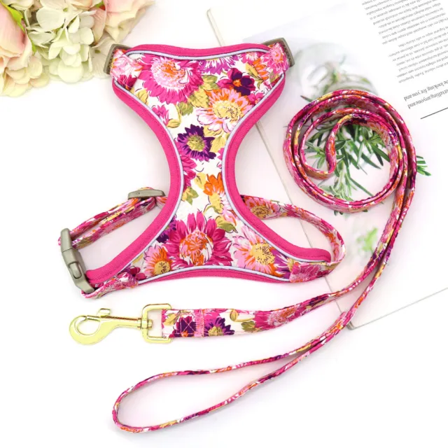 Floral dog harness + matching lead