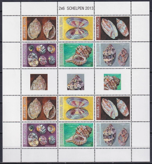 Aruba 2013 Shells MNH**