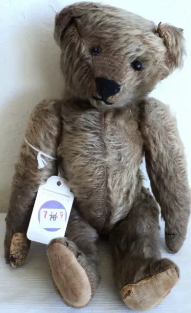 Antique Early STEIFF Mohair TEDDY BEAR With SOTHEBY'S TAG 12" Hump Shoebutton