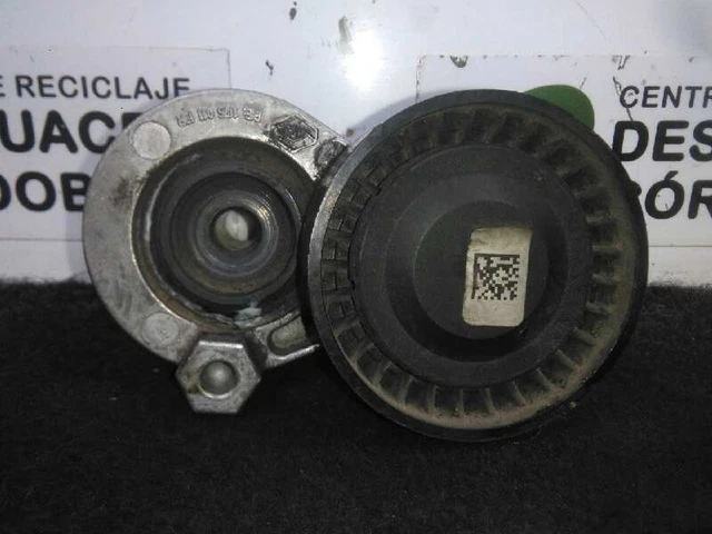 117501113R Tendeur De Courroie Auxiliaire / 516999 Pour Mercedes Citan W415 Co