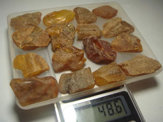 AMBER / raw baltic stones bernstein natural bursztyn baltycki genuine 琥珀 (e419