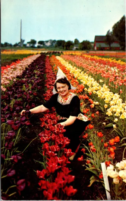 Postcard Pretty Woman Tulip Time Holland Michigan B141