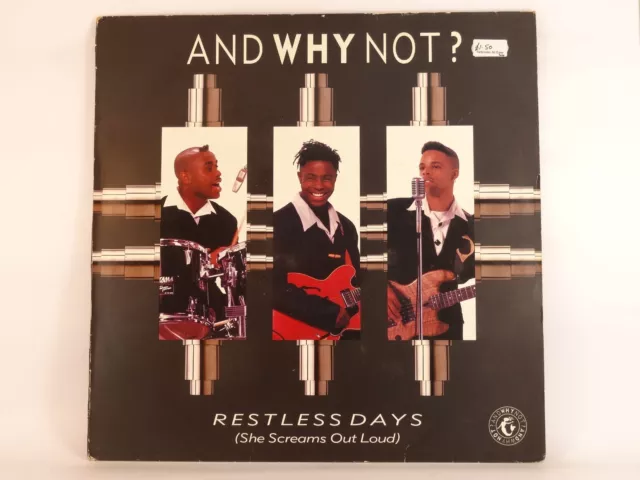 AND WHY NOT? RESTLESS DAYS (278) 3 Track 12" Single Picture Sleeve