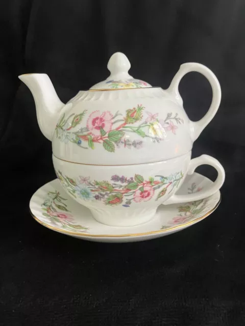 Aynsley Wild Tudor England Tea for One Teapot Teacup Saucer Floral 5" New