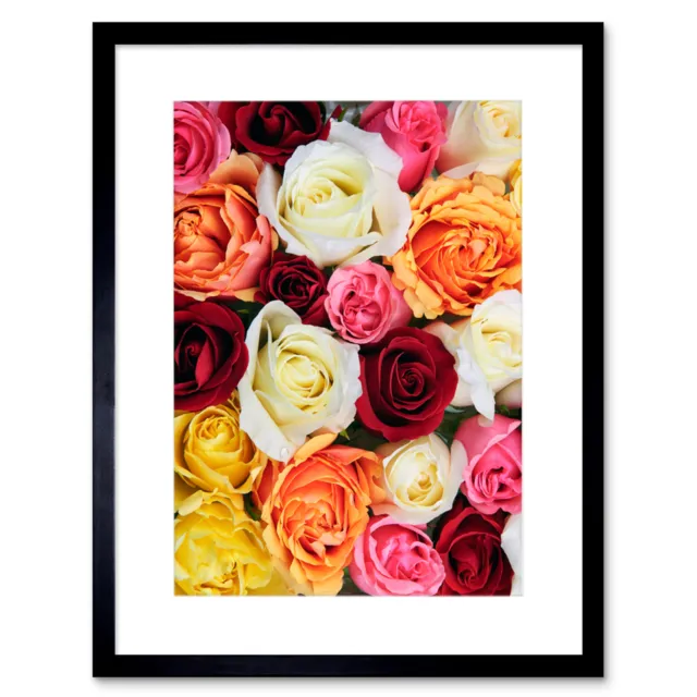 Photo Background Roses Blossoms Flowers Framed Print 12x16 Inch