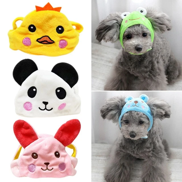 animaux de compagnie Coiffures pour animaux de compagnie Chien Animal Chapeau
