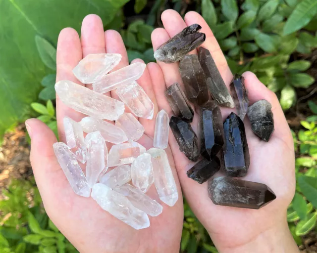 1/4 lb Bulk Lot Mixed Smokey & Quartz Crystal Natural Clear Points Smoky