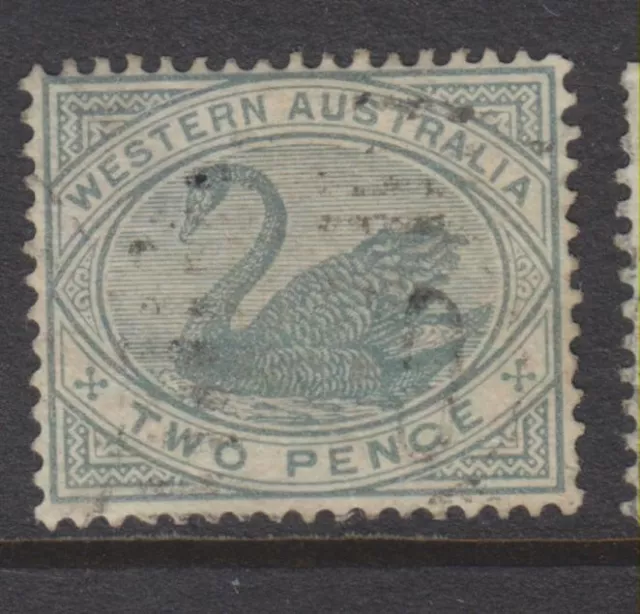 1885-1893 - WESTERN AUSTRALIA - 2d. BLUISH GREY SWAN - P14 - SG 96- W687