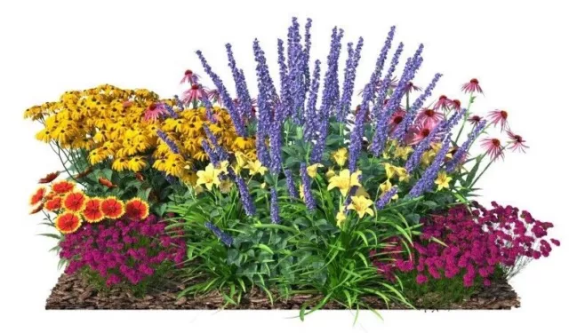 Perennial Garden Plants Design, Hardy Perennial Cottage Flowers Mix Design